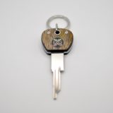 Key Compatible Citroën DS Mango / Aluminum - Image 2