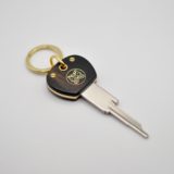 Key Compatible Citroën DS Ebony / Brass